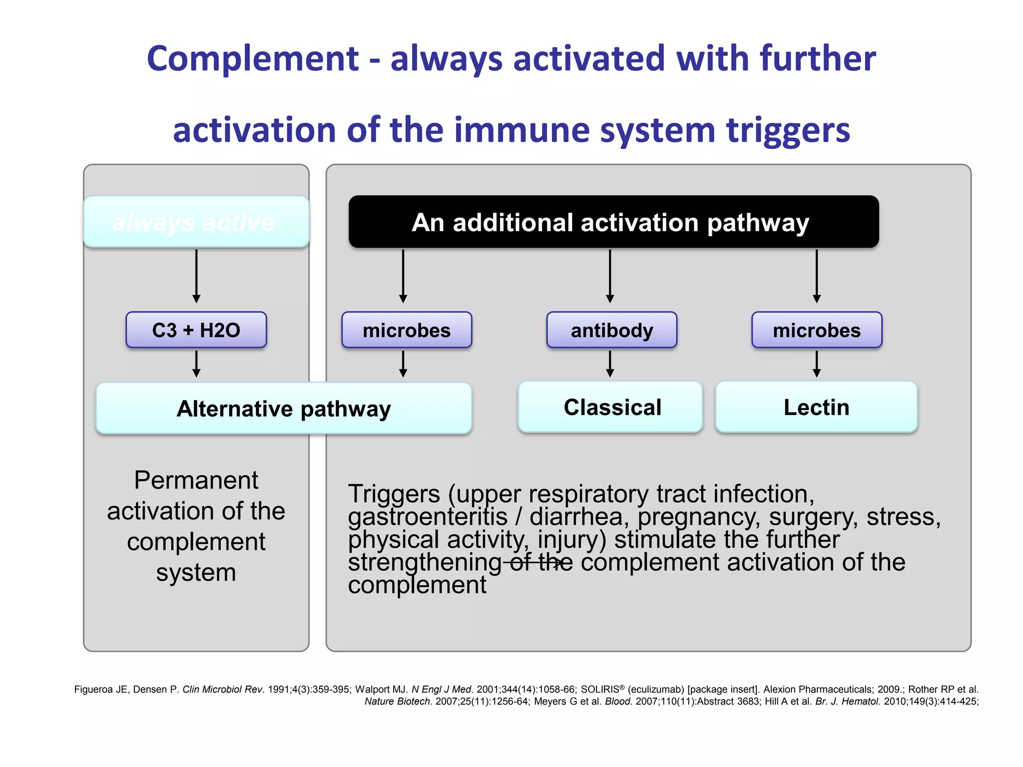5-1. Review of complement system. Khadizha Emirova (eng) | PPTX