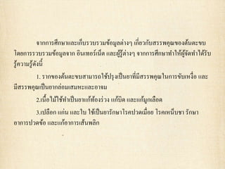 จากการศึกษาและเก็บรวบรวมข้อมูลต่างๆ เกี่ยวกับสรรพคุณของต้นตะขบ
โดยการรวบรวมข้อมูลจาก อินเทอร์เน็ต และผู้รู้ต่างๆ จากการศึกษาทาให้ผู้จัดทาได้รับ
รู้ความรู้ดังนี้
1. รากของต้นตะขบสามารถใช้ปรุงเป็นยาที่มีสรรพคุณในการขับเหงื่อ และ
มีสรรพคุณเป็นยากล่อมเสมหะและอาจม
2.เนื้อไม้ใช้ทาเป็นยาแก้ท้องร่วง แก้บิด และแก้มูกเลือด
3.เปลือก แก่น และใบ ใช้เป็นยารักษาโรคปวดเมื่อย โรคเหน็บชา รักษา
อาการปวดข้อ และแก้อาการเส้นพลิก
 