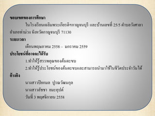 ขอบเขตของการศึกษา
ในโรงเรียนเฉลิมพระเกียรติฯกาญจนบุรี และบ้านเลขที่ 25/5 ตาบลวังศาลา
อาเภอท่าม่วง จังหวัดกาญจนบุรี 71130
ระยะเวลา
เดือนพฤษภาคม 2558 – มกราคม 2559
ประโยชน์ที่อาจจะได้รับ
1.ทาให้รู้สรรพคุณของต้นตะขบ
2.ทาให้รู้ประโยชน์ของต้นตะขบและสามารถนามาใช้ในชีวิตประจาวันได้
อ้างอิง
นางสาวปิยกมล ปูรณวัฒนกุล
นางสาวลัชชา ยมะคุปต์
วันที่ 3 พฤศจิกายน 2558
 