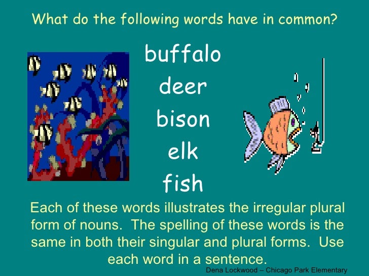 5 1 2 buffalo hunt plural form of elk