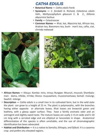 5 1-pharmacognostical profile of selected medicinal plants | PDF