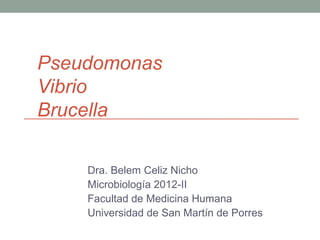 Pseudomonas
Vibrio
Brucella

    Dra. Belem Celiz Nicho
    Microbiología 2012-II
    Facultad de Medicina Humana
    Universidad de San Martín de Porres
 