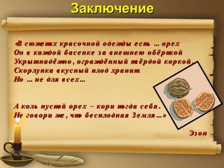 Заключение «В сюжетах красочной одежды есть … орех Он в каждой басенке за внешнею обёрткой Укрыт надёжно, ограждённый твёрдой коркой. Скорлупка вкусный плод хранит.  Но … не для всех… А коль пустой орех – кори тогда себя. Не говори же, что бесплодная Земля…» Эзоп 