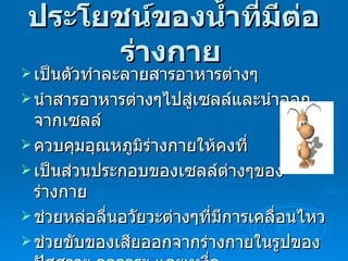 ประโยชน์ของน้ำที่มีต่อร่างกาย   เป็นตัวทำละลายสารอาหารต่างๆ นำสารอาหารต่างๆไปสู่เซลล์และนำออกจากเซลล์ ควบคุมอุณหภูมิร่างกายให้คงที่ เป็นส่วนประกอบของเซลล์ต่างๆของร่างกาย ช่วยหล่อลื่นอวัยวะต่างๆที่มีการเคลื่อนไหว ช่วยขับของเสียออกจากร่างกายในรูปของปัสสาวะ อุจจาระ และเหงื่อ 