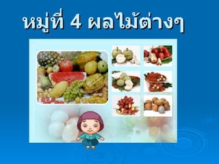 หมู่ที่  4   ผลไม้ต่างๆ      