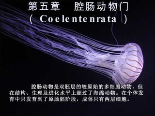 第五章  腔肠动物门（ Coelentenrata ） 腔肠动物是双胚层的较原始的多细胞动物，但在结构、生理及进化水平上超过了海绵动物。在个体发育中只发育到了原肠胚阶段，成体只有两层细胞。 