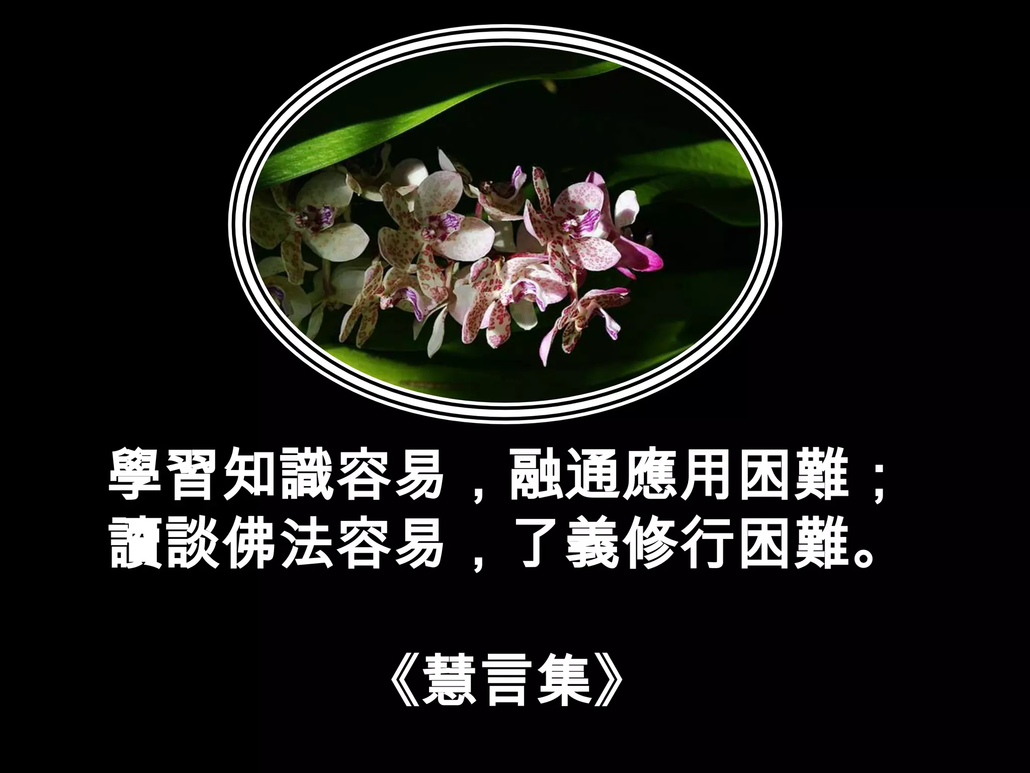 學習知識容易，融通應用困難；讀談佛法容易，了義修行困難。《慧言集》