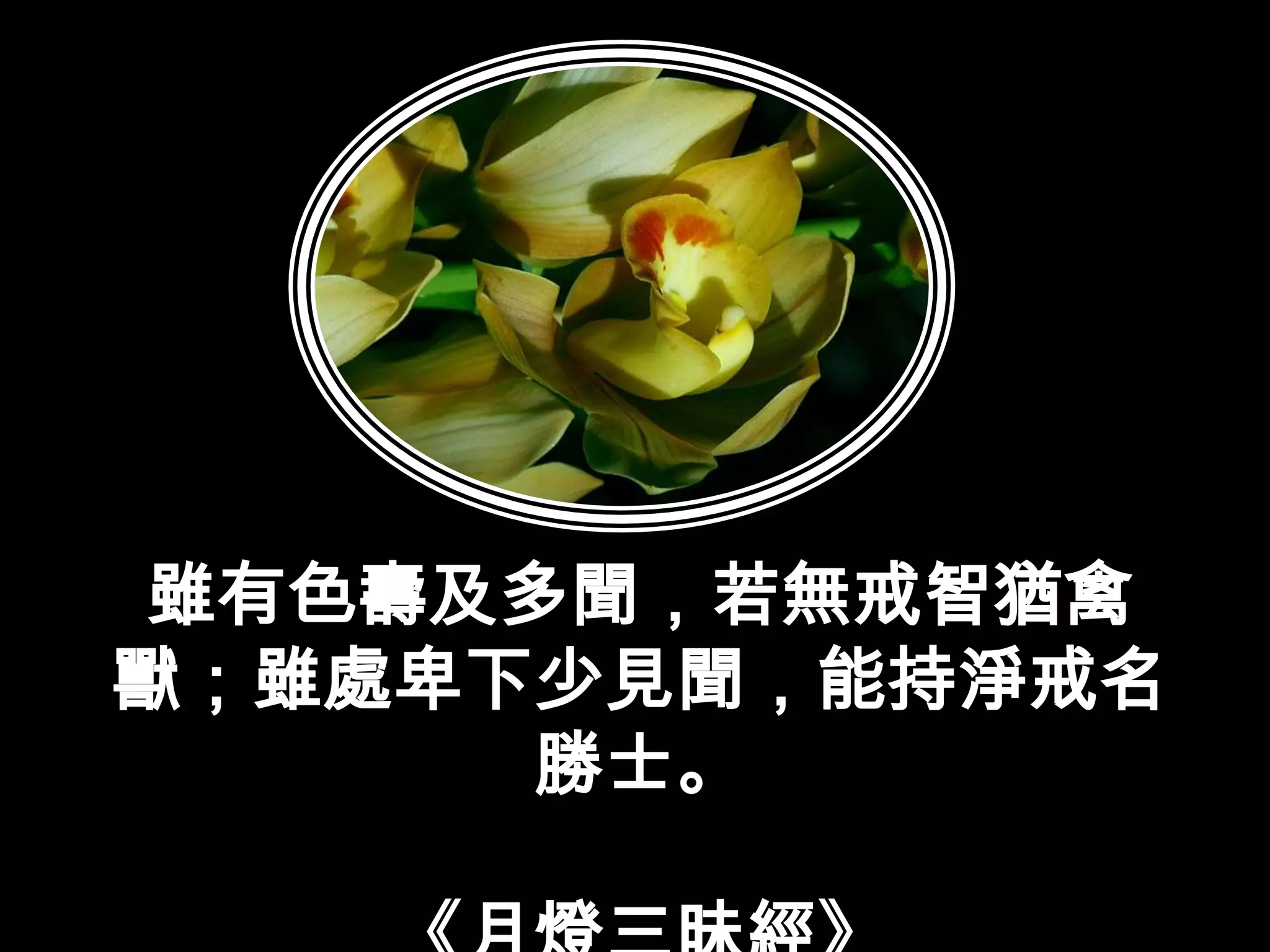 雖有色壽及多聞，若無戒智猶禽獸；雖處卑下少見聞，能持淨戒名勝士。《月燈三昧經》