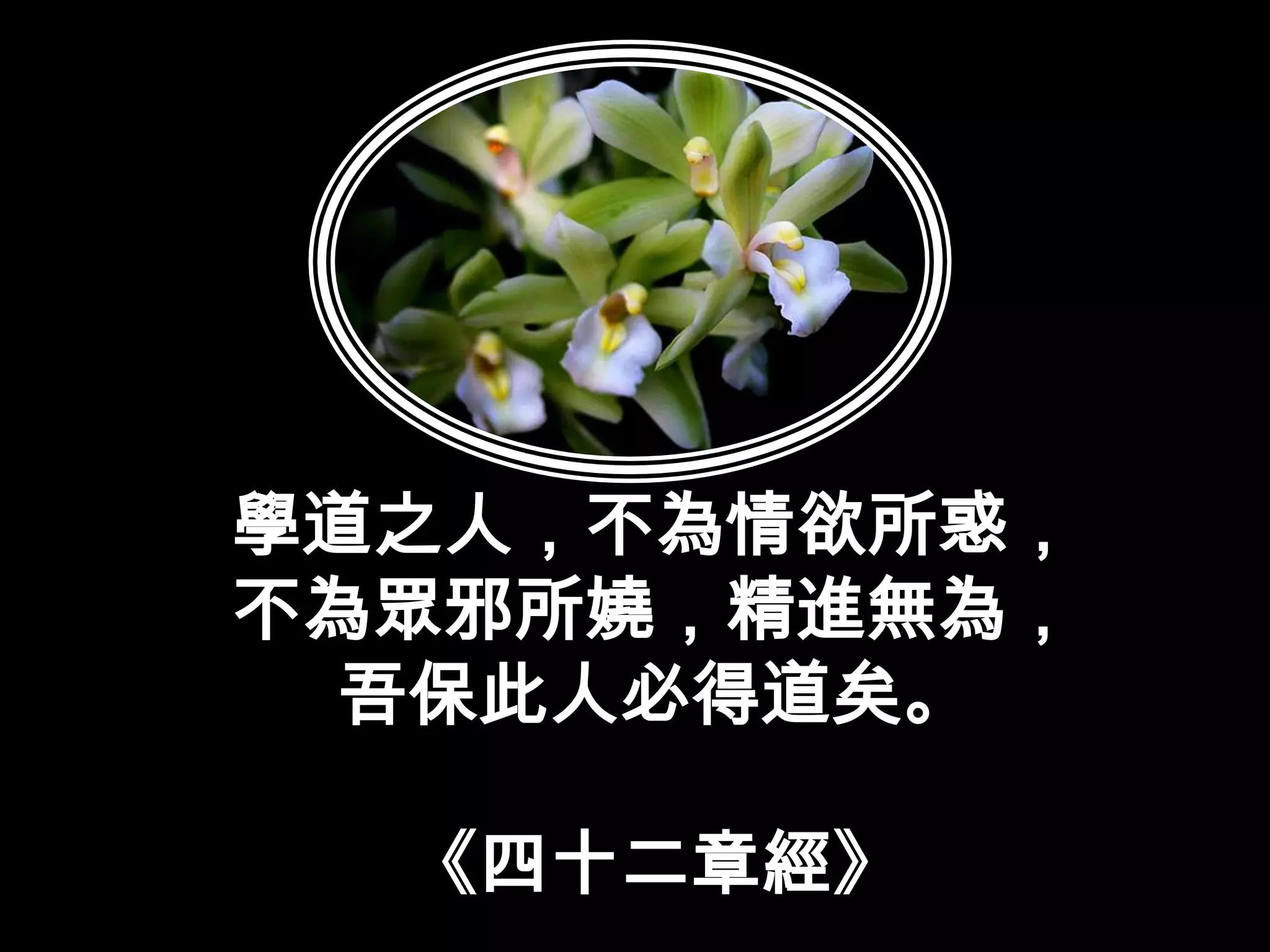 學道之人，不為情欲所惑，不為眾邪所嬈，精進無為，吾保此人必得道矣。《四十二章經》