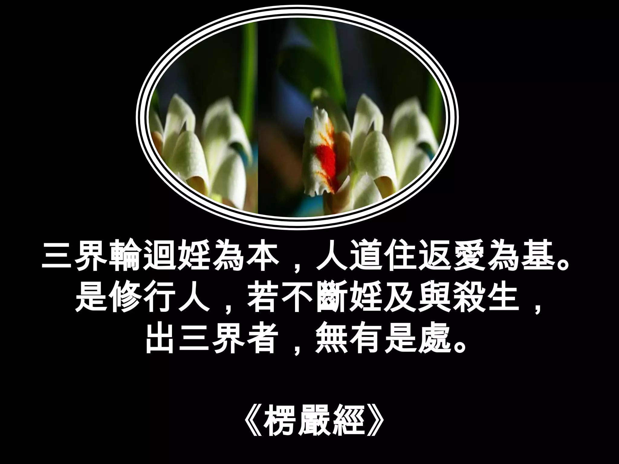 三界輪迴婬為本，人道住返愛為基。是修行人，若不斷婬及與殺生，出三界者，無有是處。《楞嚴經》