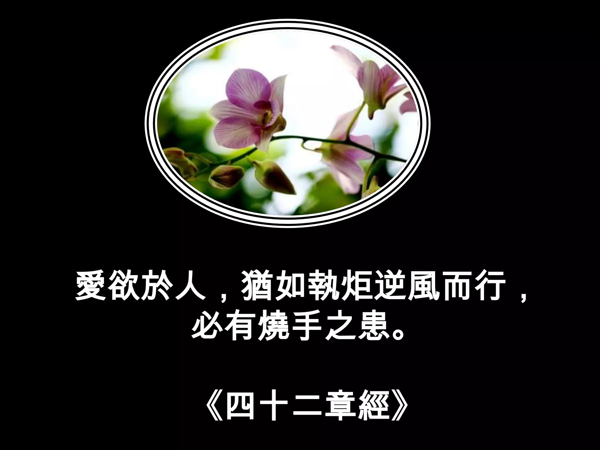 愛欲於人，猶如執炬逆風而行，必有燒手之患。《四十二章經》