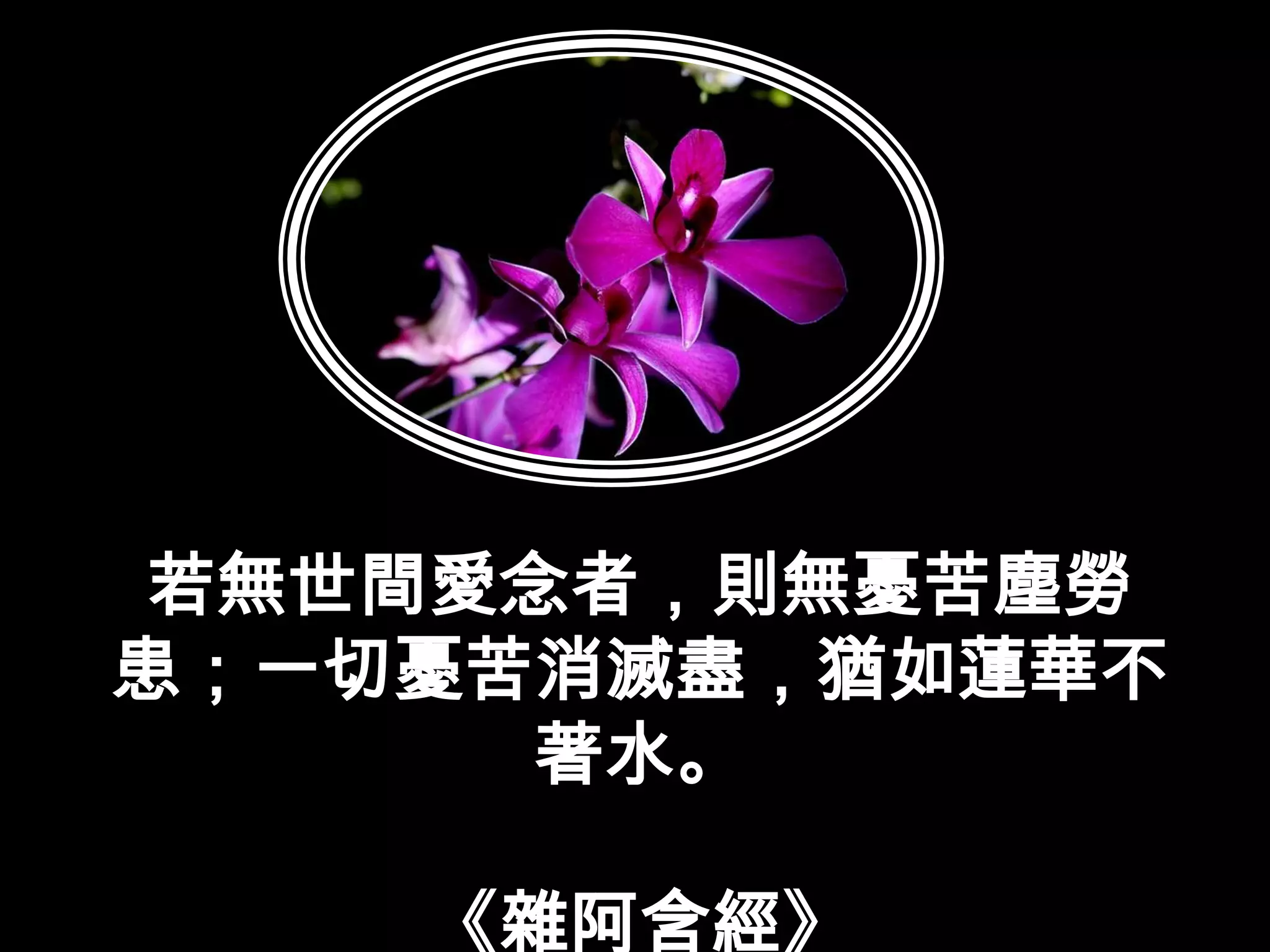 若無世間愛念者，則無憂苦塵勞患；一切憂苦消滅盡，猶如蓮華不著水。《雜阿含經》