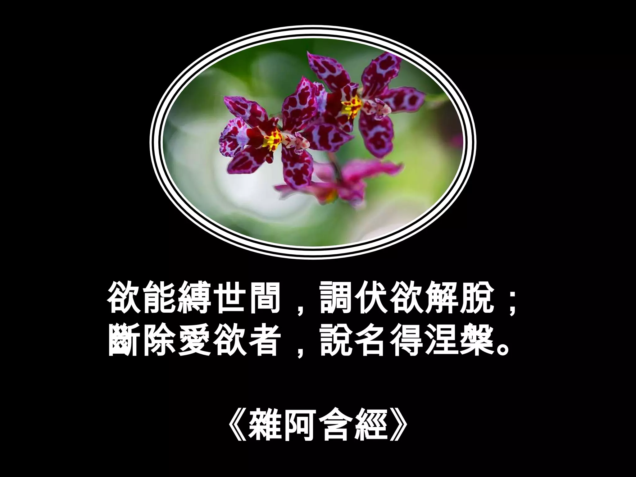 欲能縛世間，調伏欲解脫；斷除愛欲者，說名得涅槃。《雜阿含經》