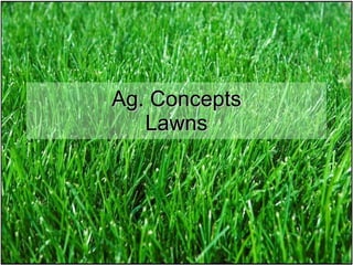 Ag. Concepts Lawns 