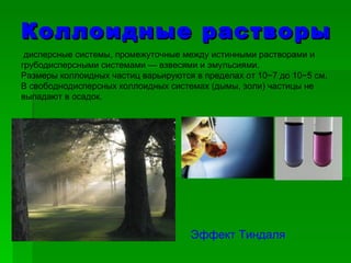 Коллоидные растворы Эффект Тиндаля   дисперсные системы, промежуточные между истинными растворами и грубодисперсными системами — взвесями и эмульсиями. Размеры коллоидных частиц варьируются в пределах от 10−7 до 10−5 см. В свободнодисперсных коллоидных системах (дымы, золи) частицы не выпадают в осадок. 