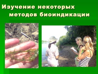 Изучение некоторых методов биоиндикации  