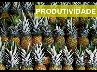 PRODUTIVIDADE