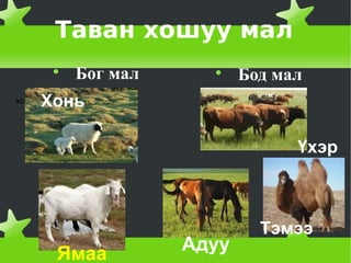 Таван хошуу мал

Бог мал 
Бод мал
Ямаа Адуу
хо
ҮхэрҮхэр
Тэмээ
Хонь
 