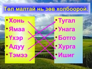 Төл малтай нь зөв холбоорой.

Хонь

Ямаа

Үхэр

Адуу

Тэмээ

Тугал

Унага

Ботго

Хурга

Ишиг
 