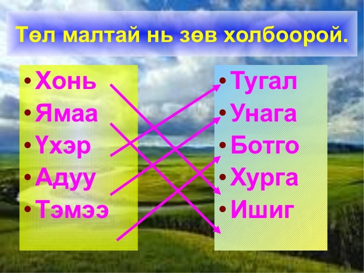 5 хошуу мал