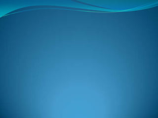 Предприятия питания на объектах размещенияОбъём реализации питания только по одной гостиничной цепи Marriott Hotels & Resorts составляют 1,2 млрд. долл. США. А продажа еды и напитков по семи крупнейшим отельным цепям составляет порядка  5,5 млрд. долл. США. 