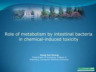 Role of metabolism by intestinal bacteria
      in chemical-induced toxicity


                     Jeong Hye Gwang
             Department of Toxicology, College of
           Pharmacy, Chungnam National University



                                                    Toxicology LAB
 