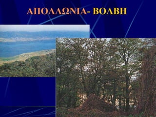 ΑΠΟΛΛΩΝΙΑ - ΒΟΛΒΗ 