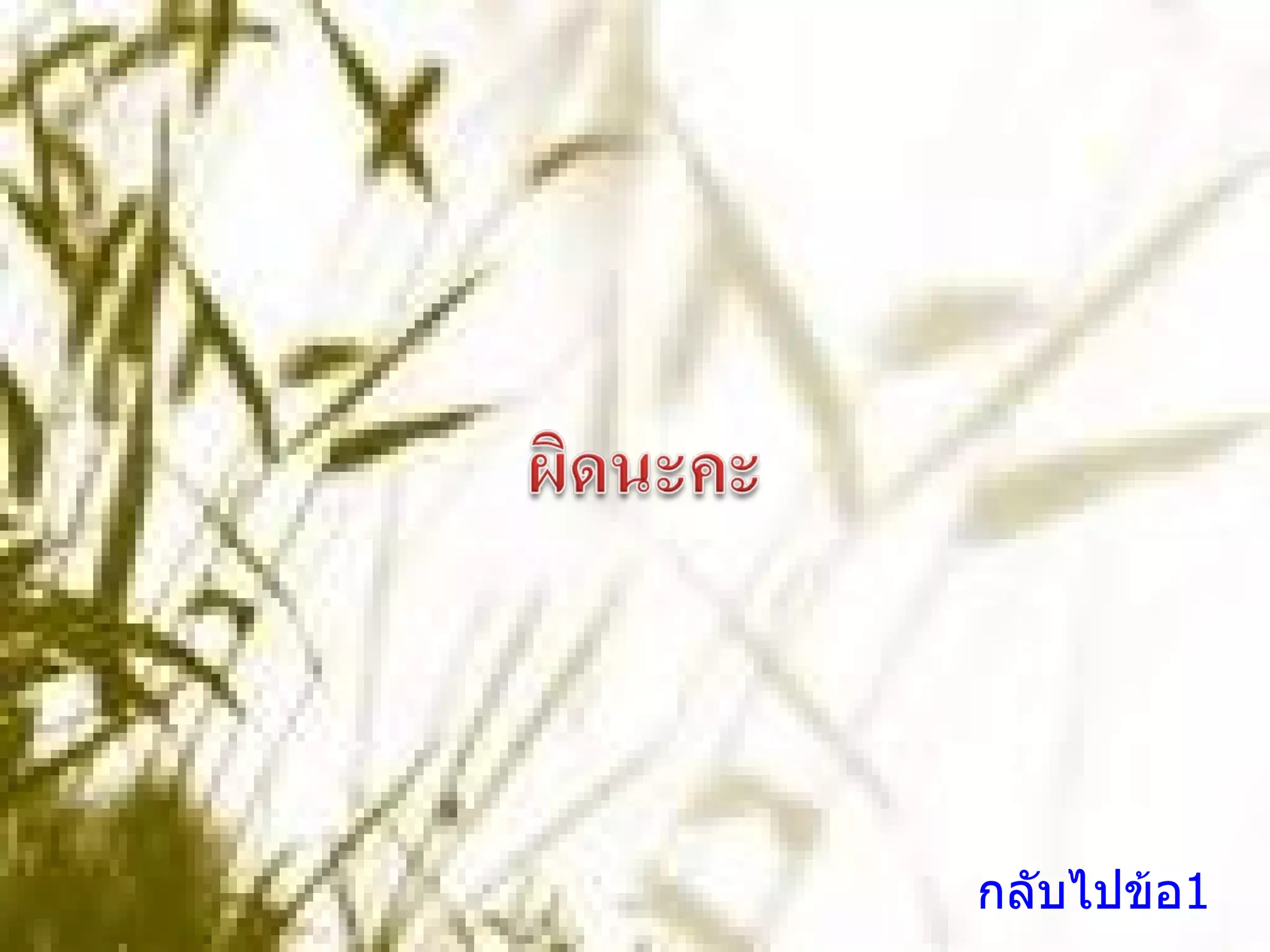 กลับไปข้อ1 