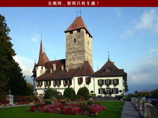 生氣時，智商只有 5 歲！   