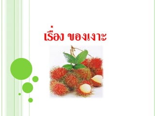 เรือง ของเงาะ
   ่
 