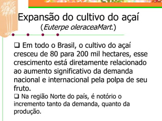 Expansão do cultivo do açaí
        (Euterpe oleraceaMart.)

 Em todo o Brasil, o cultivo do açaí
cresceu de 80 para 200 mil hectares, esse
crescimento está diretamente relacionado
ao aumento significativo da demanda
nacional e internacional pela polpa de seu
fruto.
 Na região Norte do país, é notório o
incremento tanto da demanda, quanto da
produção.
 