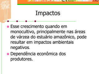 Impactos

 Esse crescimento quando em
  monocultivo, principalmente nas áreas
  de várzea do estuário amazônico, pode
  resultar em impactos ambientais
  negativos.
 Dependência econômica dos
  produtores.
 
