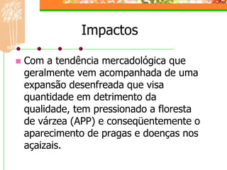 Impactos

   Com a tendência mercadológica que
    geralmente vem acompanhada de uma
    expansão desenfreada que visa
    quantidade em detrimento da
    qualidade, tem pressionado a floresta
    de várzea (APP) e conseqüentemente o
    aparecimento de pragas e doenças nos
    açaizais.
 