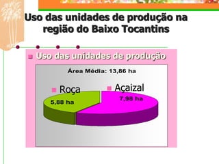 Uso das unidades de produção na
   região do Baixo Tocantins

   Uso das unidades de produção
            Área Média: 13,86 ha


          Roça           Açaizal
                            7,98 ha
       5,88 ha
 