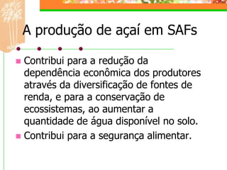 A produção de açaí em SAFs

 Contribui para a redução da
  dependência econômica dos produtores
  através da diversificação de fontes de
  renda, e para a conservação de
  ecossistemas, ao aumentar a
  quantidade de água disponível no solo.
 Contribui para a segurança alimentar.
 