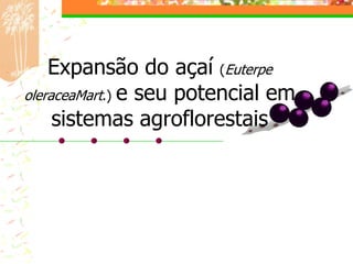 Expansão do açaí (Euterpe
oleraceaMart.) e seu potencial em
     sistemas agroflorestais
 
