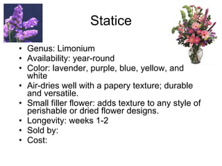 Statice Genus: Limonium Availability: year-round Color: lavender, purple, blue, yellow, and white Air-dries well with a papery texture; durable and versatile. Small filler flower: adds texture to any style of perishable or dried flower designs. Longevity: weeks 1-2 Sold by:  Cost: 