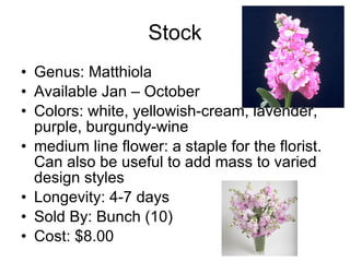 Stock Genus: Matthiola Available Jan – October Colors: white, yellowish-cream, lavender, purple, burgundy-wine  medium line flower: a staple for the florist. Can also be useful to add mass to varied design styles  Longevity: 4-7 days Sold By: Bunch (10) Cost: $8.00 