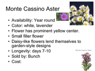 Monte Cassino Aster Availability: Year round Color: white, lavender Flower has prominent yellow center. Small filler flower Daisy-like flowers lend themselves to garden-style designs Longevity: days 7-10 Sold by: Bunch Cost:  