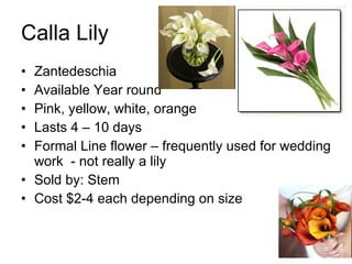 Calla Lily Zantedeschia Available Year round Pink, yellow, white, orange Lasts 4 – 10 days Formal Line flower – frequently used for wedding work  - not really a lily Sold by: Stem Cost $2-4 each depending on size 