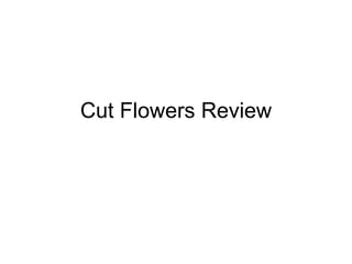 Cut Flowers Review 