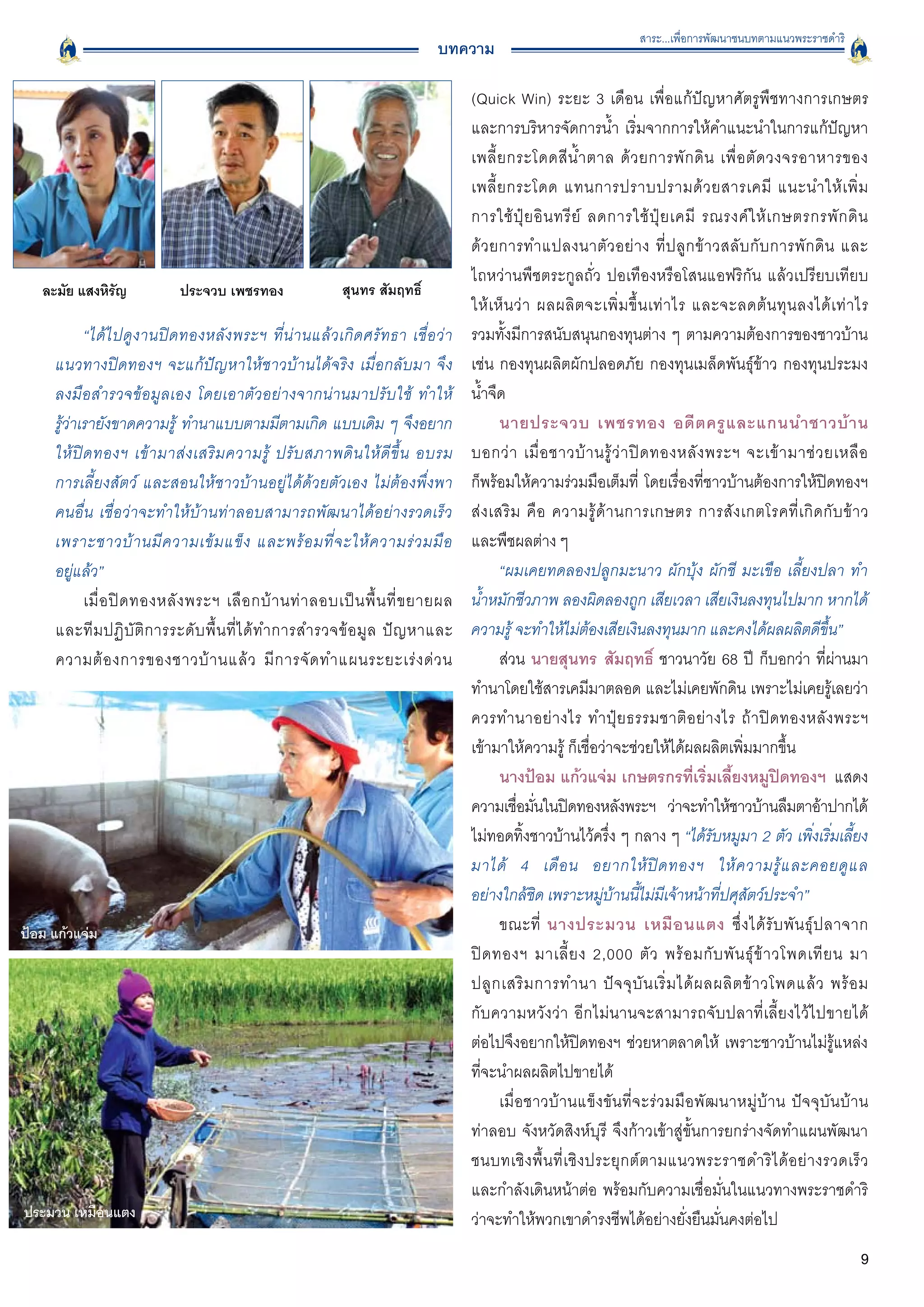 สาระ...เพื่อการพัฒนาชนบทตามแนวพระราชดำริ
                                                                                     บทความ

                                                                                            (Quick Win) ระยะ 3 เดือน เพื่อแก้ปัญหาศัตรูพืชทางการเกษตร

                                                                                            และการบริหารจัดการน้ำ เริ่มจากการให้คำแนะนำในการแก้ปัญหา
                                                                                            เพลี้ ย กระโดดสี น้ ำ ตาล ด้ ว ยการพั ก ดิ น เพื่ อ ตั ด วงจรอาหารของ

                                                                                            เพลี้ ย กระโดด แทนการปราบปรามด้ ว ยสารเคมี แนะนำให้ เ พิ่ ม

                                                                                            การใช้ ปุ๋ ย อิ น ทรี ย์ ลดการใช้ ปุ๋ ย เคมี รณรงค์ ใ ห้ เ กษตรกรพั ก ดิ น

                                                                                            ด้ ว ยการทำแปลงนาตั ว อย่ า ง ที่ ป ลู ก ข้ า วสลั บ กั บ การพั ก ดิ น และ

                                                                                            ไถหว่านพืชตระกูลถั่ว ปอเทืองหรือโสนแอฟริกัน แล้วเปรียบเทียบ

   ละมัย แสงหิรญ
               ั               ประจวบ เพชรทอง
                   สุนทร สัมฤทธิ์ 
                                                                                            ให้ เ ห็ น ว่ า ผลผลิ ต จะเพิ่ ม ขึ้ น เท่ า ไร และจะลดต้ น ทุ น ลงได้ เ ท่ า ไร

             “ได้ ไ ปดู ง านปิ ด ทองหลั ง พระฯ ที่ น่ า นแล้ ว เกิ ด ศรั ท ธา เชื่ อ ว่ า   รวมทั้งมีการสนับสนุนกองทุนต่าง ๆ ตามความต้องการของชาวบ้าน
      แนวทางปิดทองฯ จะแก้ปัญหาให้ชาวบ้านได้จริง เมื่อกลับมา จึง                             เช่น กองทุนผลิตผักปลอดภัย กองทุนเมล็ดพันธุ์ข้าว กองทุนประมง
      ลงมือสำรวจข้อมูลเอง โดยเอาตัวอย่างจากน่านมาปรับใช้ ทำให้
                             น้ำจืด 
      รู้ว่าเรายังขาดความรู้ ทำนาแบบตามมีตามเกิด แบบเดิม ๆ จึงอยาก
                                นายประจวบ เพชรทอง อดี ต ครู แ ละแกนนำชาวบ้ า น

      ให้ ปิ ด ทองฯ เข้ า มาส่ ง เสริ ม ความรู้ ปรั บ สภาพดิ น ให้ ดี ขึ้ น อบรม
           บอกว่ า เมื่ อ ชาวบ้ า นรู้ ว่ า ปิ ด ทองหลั ง พระฯ จะเข้ า มาช่ ว ยเหลื อ

      การเลี้ยงสัตว์ และสอนให้ชาวบ้านอยู่ได้ด้วยตัวเอง ไม่ต้องพึ่งพา
                       ก็พร้อมให้ความร่วมมือเต็มที่ โดยเรื่องที่ชาวบ้านต้องการให้ปิดทองฯ
      คนอื่น เชื่อว่าจะทำให้บ้านท่าลอบสามารถพัฒนาได้อย่างรวดเร็ว                            ส่ ง เสริ ม คื อ ความรู้ ด้ า นการเกษตร การสั ง เกตโรคที่ เ กิ ด กั บ ข้ า ว

      เพราะชาวบ้ า นมี ค วามเข้ ม แข็ ง และพร้ อ มที่ จ ะให้ ค วามร่ ว มมื อ
               และพืชผลต่าง ๆ 
      อยู่แล้ว”
                                                                                   “ผมเคยทดลองปลูกมะนาว ผักบุ้ง ผักชี มะเขือ เลี้ยงปลา ทำ

             เมื่ อ ปิ ด ทองหลั ง พระฯ เลื อ กบ้ า นท่ า ลอบเป็ น พื้ น ที่ ข ยายผล
        น้ำหมักชีวภาพ ลองผิดลองถูก เสียเวลา เสียเงินลงทุนไปมาก หากได้
      และที ม ปฏิ บั ติ ก ารระดั บ พื้ น ที่ ไ ด้ ท ำการสำรวจข้ อ มู ล ปั ญ หาและ           ความรู้ จะทำให้ไม่ต้องเสียเงินลงทุนมาก และคงได้ผลผลิตดีขึ้น”
      ความต้ อ งการของชาวบ้ า นแล้ ว มี ก ารจั ด ทำแผนระยะเร่ ง ด่ ว น                             ส่วน นายสุนทร สัมฤทธิ์ ชาวนาวัย 68 ปี ก็บอกว่า ที่ผ่านมา
                                                                                            ทำนาโดยใช้สารเคมีมาตลอด และไม่เคยพักดิน เพราะไม่เคยรู้เลยว่า
                                                                                            ควรทำนาอย่ า งไร ทำปุ๋ ย ธรรมชาติ อ ย่ า งไร ถ้ า ปิ ด ทองหลั ง พระฯ

                                                                                            เข้ามาให้ความรู้ ก็เชื่อว่าจะช่วยให้ได้ผลผลิตเพิ่มมากขึ้น 
                                                                                                   นางป้อม แก้วแจ่ม เกษตรกรที่เริ่มเลี้ยงหมูปิดทองฯ แสดง
                                                                                            ความเชือมันในปิดทองหลังพระฯ ว่าจะทำให้ชาวบ้านลืมตาอ้าปากได้
                                                                                                        ่ ่
                                                                                            ไม่ทอดทิ้งชาวบ้านไว้ครึ่ง ๆ กลาง ๆ “ได้รับหมูมา 2 ตัว เพิ่งเริ่มเลี้ยง
                                                                                            มาได้ 4 เดื อ น อยากให้ ปิ ด ทองฯ ให้ ค วามรู้ แ ละคอยดู แ ล

                                                                                            อย่างใกล้ชิด เพราะหมู่บ้านนี้ไม่มีเจ้าหน้าที่ปศุสัตว์ประจำ” 
ป้อม แก้วแจ่ม
                                                                                     ขณะที่ นางประมวน เหมื อ นแตง ซึ่ ง ได้ รั บ พั น ธุ์ ป ลาจาก

                                                                                            ปิ ด ทองฯ มาเลี้ ย ง 2,000 ตั ว พร้ อ มกั บ พั น ธุ์ ข้ า วโพดเที ย น มา

                                                                                            ปลู ก เสริ ม การทำนา ปั จ จุ บั น เริ่ ม ได้ ผ ลผลิ ต ข้ า วโพดแล้ ว พร้ อ ม

                                                                                            กับความหวังว่า อีกไม่นานจะสามารถจับปลาที่เลี้ยงไว้ไปขายได้

                                                                                            ต่อไปจึงอยากให้ปิดทองฯ ช่วยหาตลาดให้ เพราะชาวบ้านไม่รู้แหล่ง
                                                                                            ที่จะนำผลผลิตไปขายได้
                                                                                                   เมื่ อ ชาวบ้ า นแข็ ง ขั น ที่ จ ะร่ ว มมื อ พั ฒ นาหมู่ บ้ า น ปัจจุบันบ้าน

                                                                                            ท่าลอบ จังหวัดสิงห์บุรี จึงก้าวเข้าสู่ขั้นการยกร่างจัดทำแผนพัฒนา
                                                                                            ชนบทเชิ ง พื้ น ที่ เ ชิ ง ประยุ ก ต์ ต ามแนวพระราชดำริ ไ ด้ อ ย่ า งรวดเร็ ว

                                                                                            และกำลังเดินหน้าต่อ พร้อมกับความเชื่อมั่นในแนวทางพระราชดำริ
ประมวน เหมือนแตง
                                                                           ว่าจะทำให้พวกเขาดำรงชีพได้อย่างยั่งยืนมั่นคงต่อไป
                                                                                                                                                                             9
 