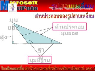 คณิตศาสตร์ ชั้น ป.5 รูปสามเหลี่ยม