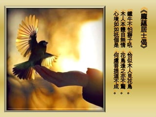 心木鐵
      《
境人牛   龐
如本不   蘊
如體怕   居
祇自獅   士
個無子   偈
是情吼
，，，   》
何花恰
慮鳥似
菩逢木
提之人
道亦見
不不花
成驚鳥
。。。
 