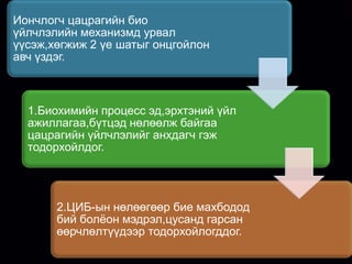 Иончлогч цацрагийн био
үйлчлэлийн механизмд урвал
үүсэж,хөгжиж 2 үе шатыг онцгойлон
авч үздэг.



  1.Биохимийн процесс эд,эрхтэний үйл
  ажиллагаа,бүтцэд нөлөөлж байгаа
  цацрагийн үйлчлэлийг анхдагч гэж
  тодорхойлдог.




       2.ЦИБ-ын нөлөөгөөр бие махбодод
       бий болѐон мэдрэл,цусанд гарсан
       өөрчлөлтүүдээр тодорхойлогддог.
 