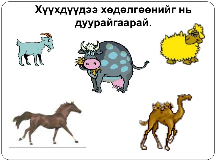 5 хошуу мал