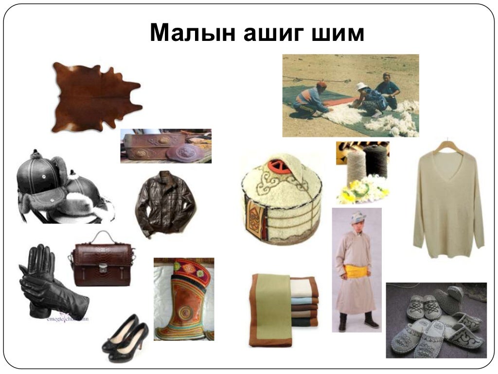 5 хошуу мал