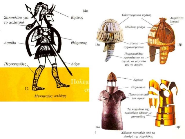 VIII. ÎŸÎ¡Î“Î‘ÎÎ©Î£Î— ÎœÎ¥ÎšÎ—ÎÎ‘ÎªÎšÎ—Î£
ÎšÎŸÎ™ÎÎ©ÎÎ™Î‘Î£
 