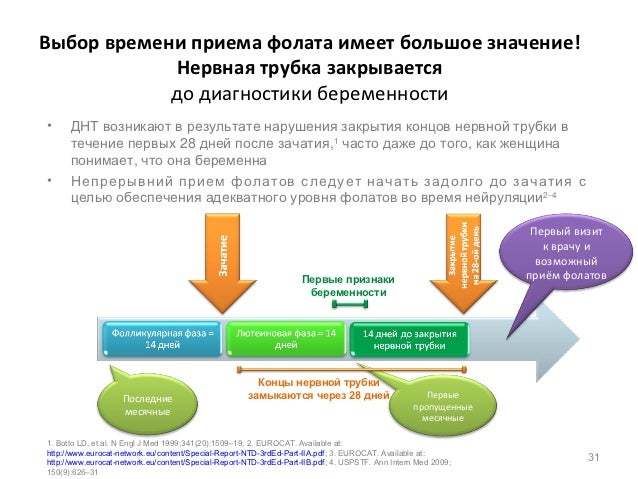 Картинки по запросу метилфолат
