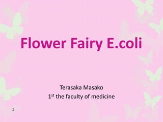 Flower Fairy E.coli

              Terasaka Masako
        1st the faculty of medicine
1
 